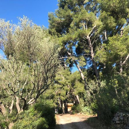 Les Pins Apartment Le Castellet  Luaran gambar