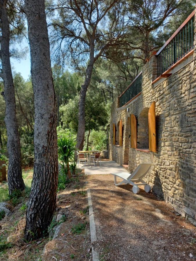 Les Pins Apartment Le Castellet  Luaran gambar